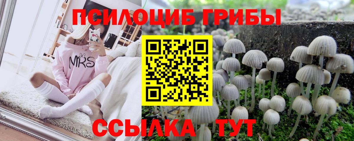 Псилоцибиновые грибы ЛСД  Псилоцибиновые грибы Psilocybe  Коряжма  цена наркотик  Вход с VPN 